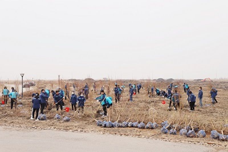 中國二十二冶集團(tuán)華北公司組織開展義務(wù)植樹活動 (2)